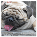 Articulation avec virelangues