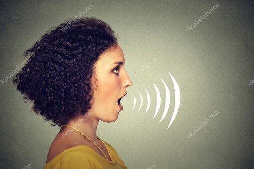 Schéma zones de résonance du masque et du palais mou